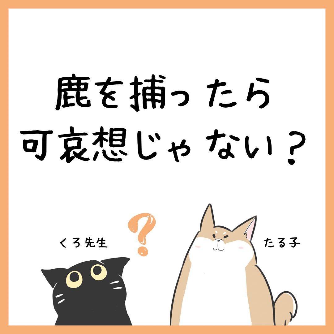 教えて!クロ先生 第1話 「鹿を捕ったら可哀そうじゃない?」