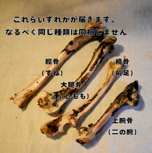 【鹿】犬のおしゃぶり骨【げんこつ型】