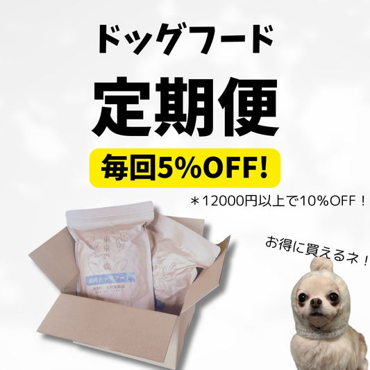 お得なドッグフード定期便のご紹介