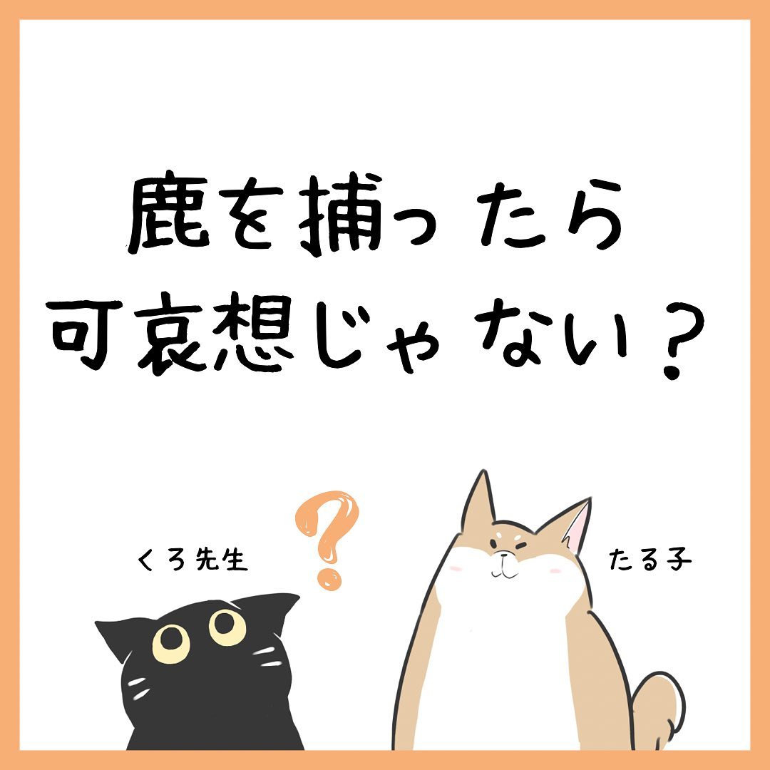 教えて！クロ先生　第1話　「鹿を捕ったら可哀そうじゃない？」