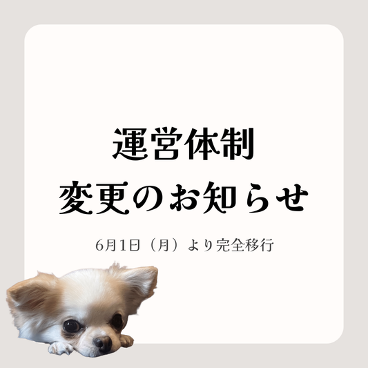 【重要】6月1日より「東京の鹿」の運営体制が変わります（新会社設立と活動内容のアップデート）