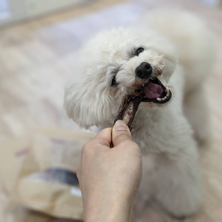 【鹿】犬のおしゃぶり骨【あばら】