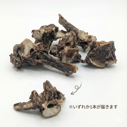 【鹿】犬のおしゃぶり骨【背骨】