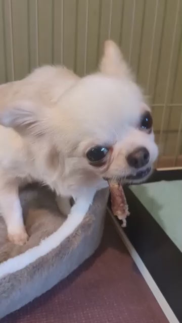 【鹿】犬のおしゃぶり骨【あばら】
