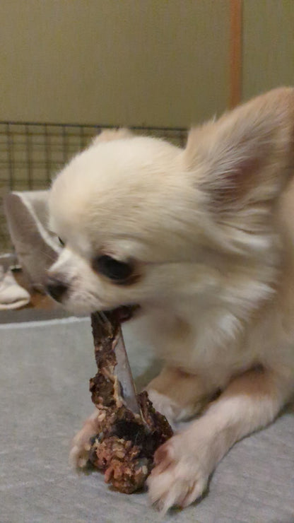 【鹿】犬のおしゃぶり骨【背骨】
